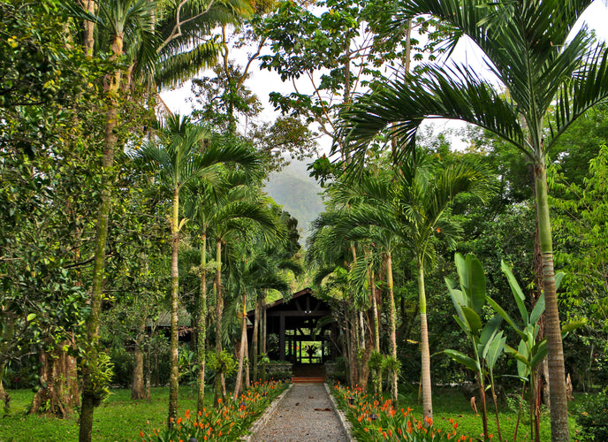 Deserted Islands & Jungle Romance